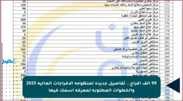 99 ألف إفراج.. تفاصيل جديدة لمنظومة الإفراجات المالية 2025 والخطوات المطلوبة لمعرفة اسمك فيها